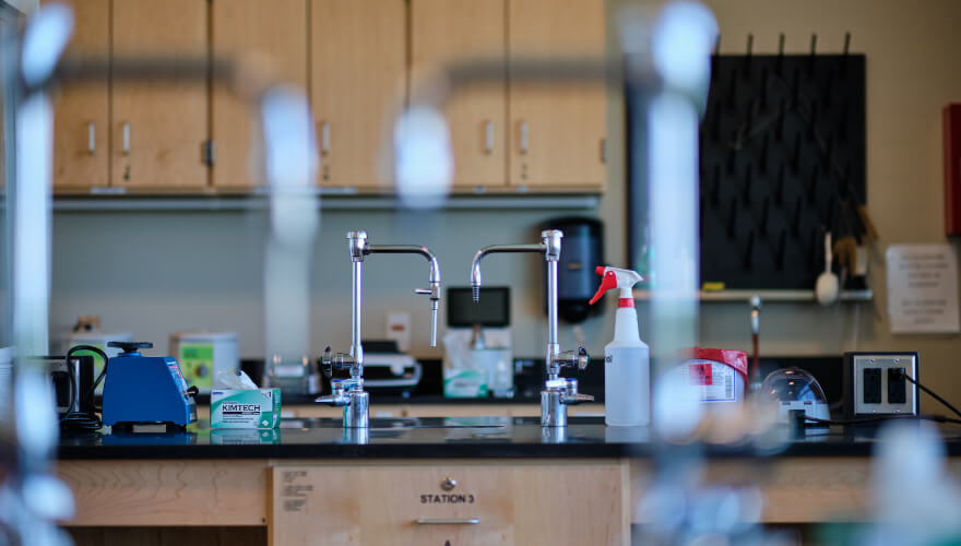 sinks in science lab