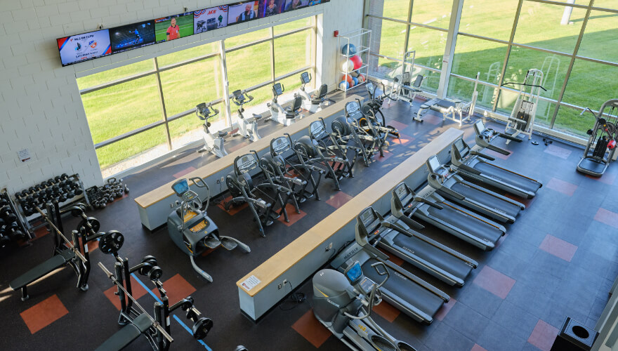 treadmills and ellipticals in gym