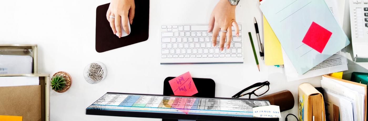 Project Management Professional